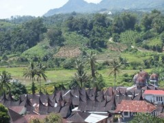 Masuk Nominasi API 2020, Begini Pesona Kampung Wisata Sarugo di Koto Tinggi Lima Puluh Kota