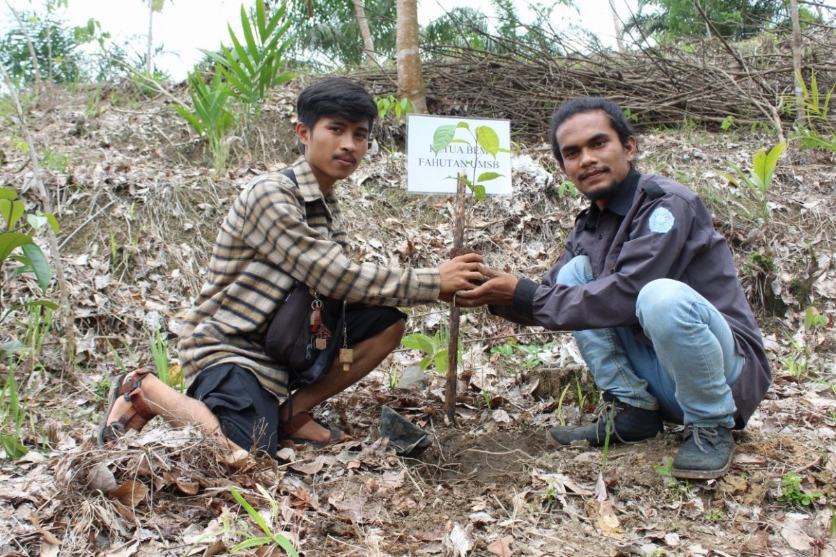 penanaman pohon di kawasan Air Pancuran Pasar Raya
